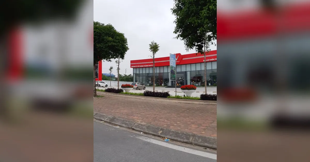 Showroom ô tô — nơi giao dịch mua xe và làm thủ tục biển số